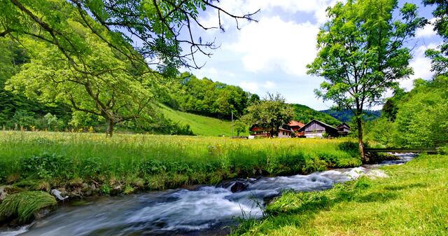 Bachlauf im Münstertal