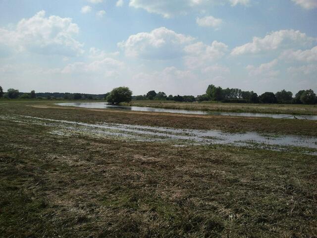 Allerwiesen stehen noch teilweise unter Wasser