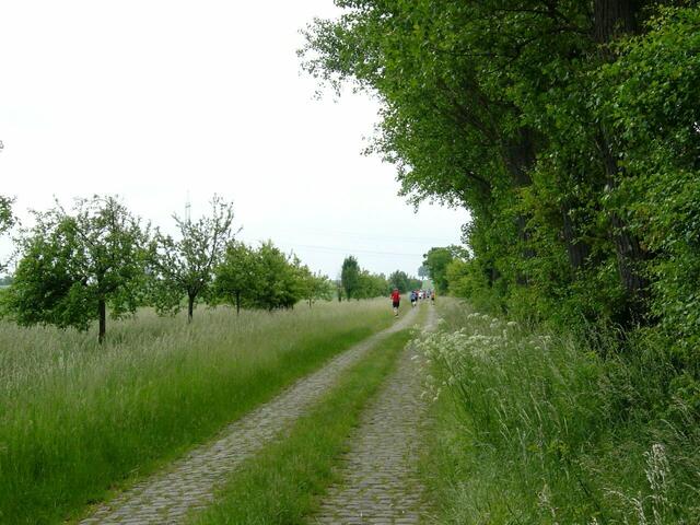 Die Rethmarer Feldmark bildet eine attraktive Kulisse für eine Laufveranstaltung.
