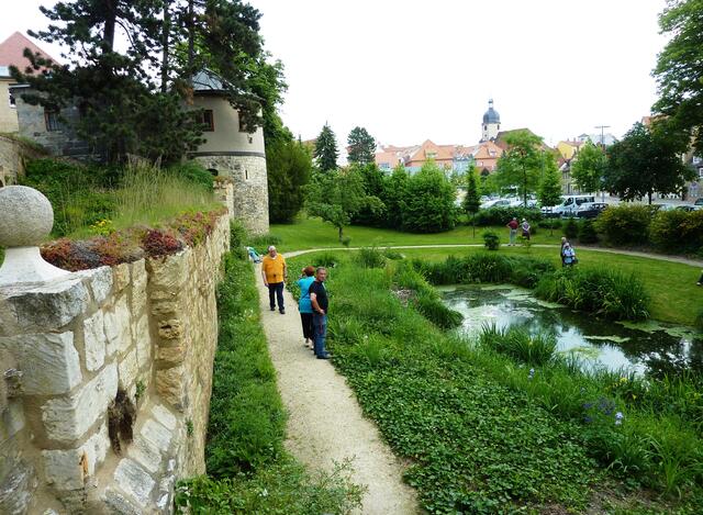 Garten und ein Mauerrest der Domfreiheit