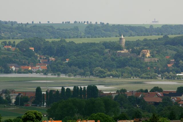 Blick über die Saaleauen nach Schönburg