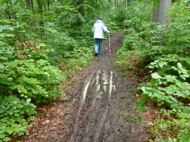 Der Regen und die Mountainbikefahrer haben den Weg geschafft!