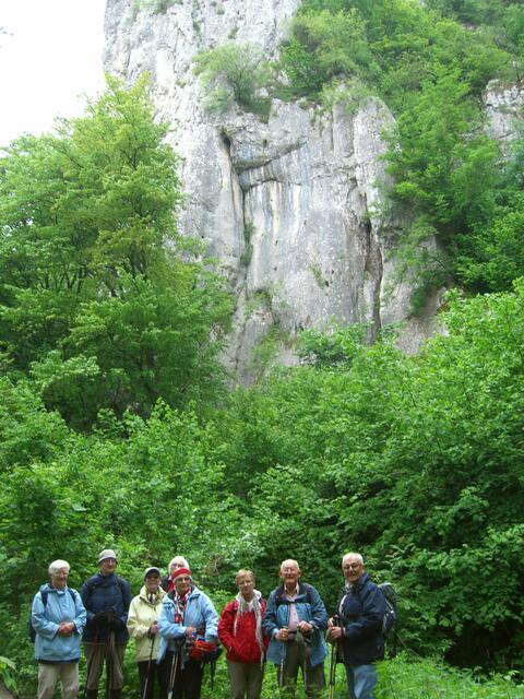 Schellnecker Felswand