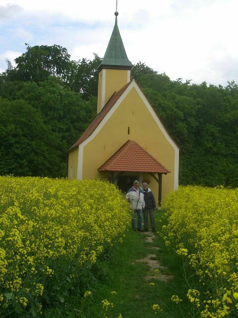 St. Bartholomä umgeben von Raps