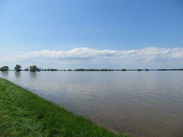 als ob er kein Wässerchen trüben könnte, der Feind das Hochwasser