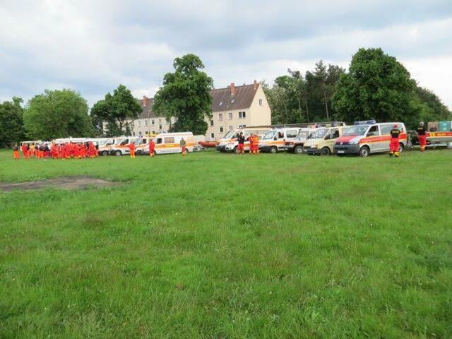 Die große Gemeinschaft der DLRG