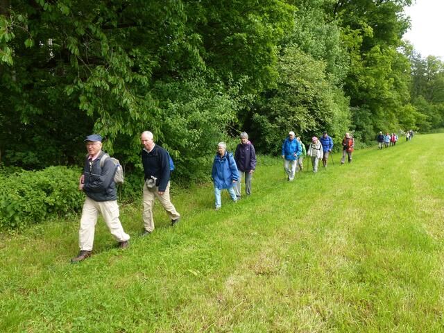 Dieser Wiesenweg ist schon gemäht