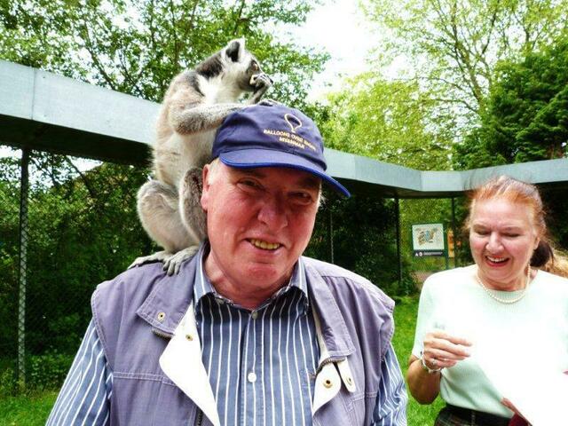 Besuch vom Katta-Äffchen