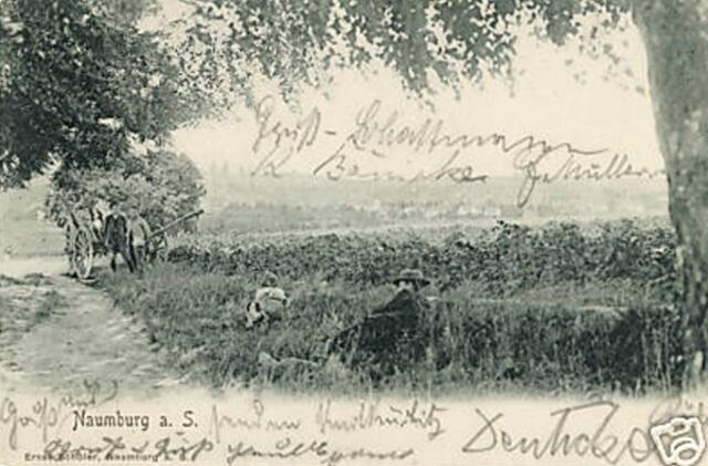 Naumburg a.S 1902