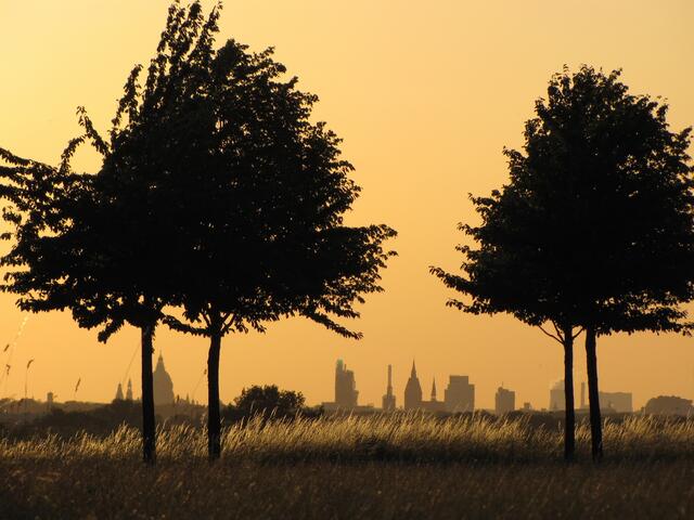 Ein Blick im Abendlicht zur Skyline von Hannover. Aber ein Besuch des Kronsberges lohnt sich zu jeder Tages- und Jahreszeit.