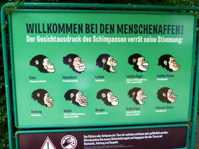Affen-Mimik