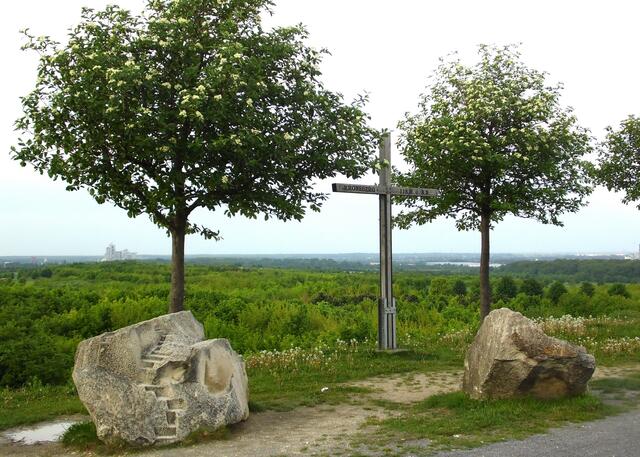 118 Meter über dem Meeresspiegel, und damit 70 Meter über dem Stadtgebiet. Selbst Reinhold Messner hat diesen "Gipfel" - aus Werbegründen zur Expo - zwei mal erklommen. Und was wäre ein Berg ohne Gipfelkreuz. Drei Männer haben es bei einem Streich in einer Nacht-und-Nebel-Aktion aufgestellt. Danke dafür. Längst wurde es aber von der Stadt durch ein stabileres erneuert.