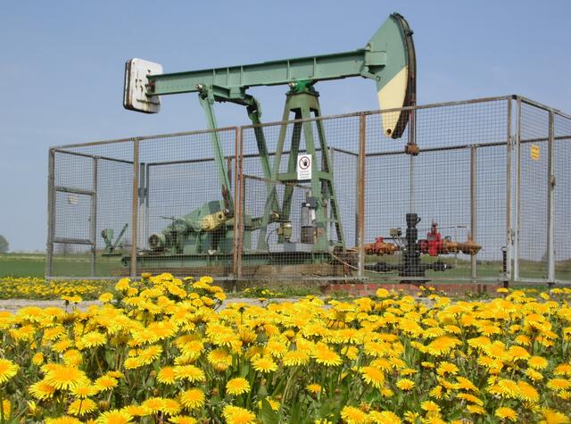 Aus 1000 Meter Tiefe wird Öl gefördert. Nur noch zwei Pumpen existieren am Kronsberg. Einst gab es bis Grasdorf hin 30 Pumpen.
