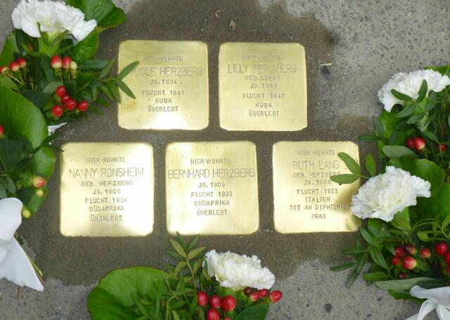 Stolpersteine für Rudolf und Lilly Herzberg (Eltern)  Nanny Ronsheim, Bernhard Herzberg und Ruth Lang (Kinder).