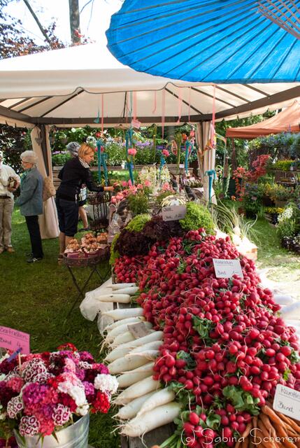 12. Friedberger Sonnwend-Töpfermarkt 2013