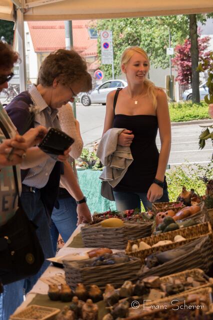 12. Friedberger Sonnwend-Töpfermarkt 2013