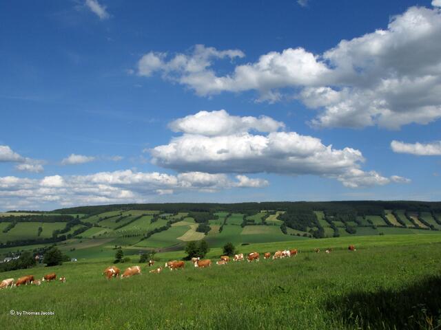Traum-Kuh-Wetter zwischen Annaberg und Königswalde. :-)