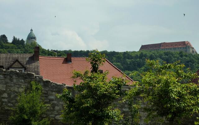 Bergfried und Burg von Freyburg aus gesehen; Mauersegler freuen sich über ihre Unterkunft in den dicken Mauern.