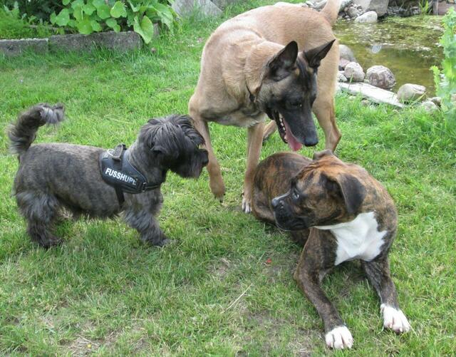 Wer ist hier der Boss ?  ;-))))