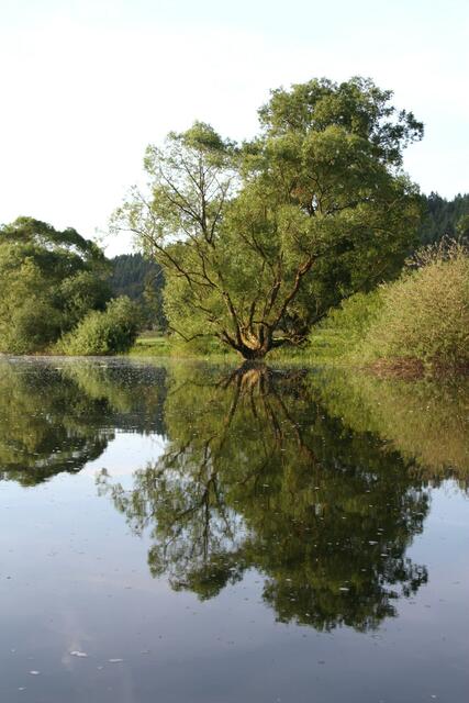 Wunderschöne Spiegelungen im ruhigen Wasser...