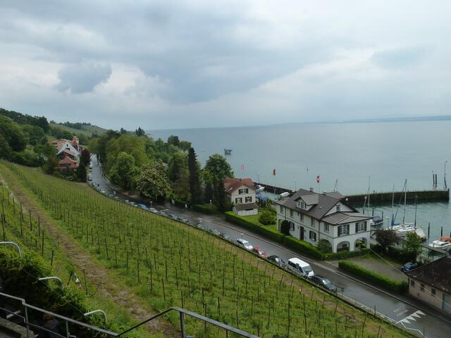 Ein schöner Blick von hier oben, über die Weinberge zum Bodensee.
