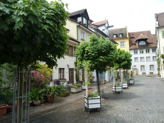 Gemütliche Straße durch Blumenkästen und Bäume.