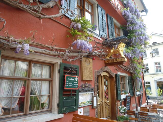 Das Hotel zum Löwen,mit schmückenden Blauregen.