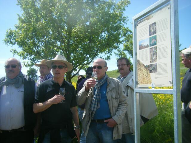 ..Infotafel auf der Streuobstwiese an der...