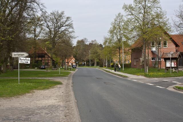 Kartoffeln 50 m - Frühlings-Edition. In der Grünen Allee in Ramlingen