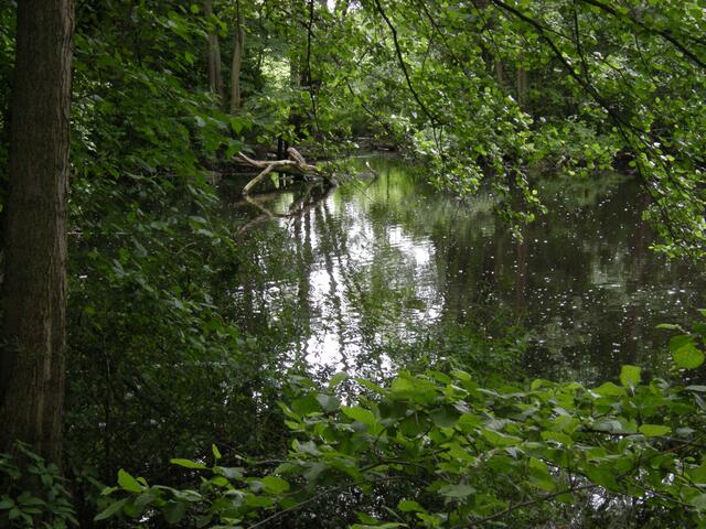 Ein grün eingerahmtes Spiegelbild.