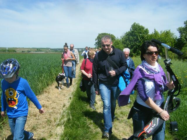 ..über frisch gemähte...