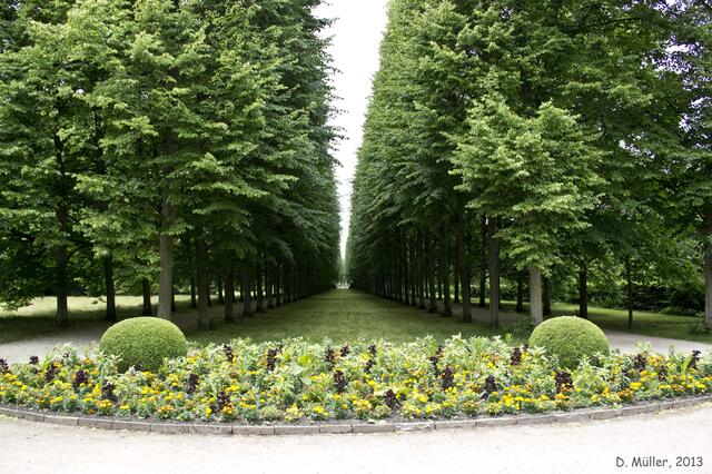 Allee im Französischen Garten in Celle