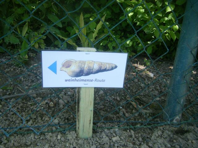 Und um sie drehte sich am 2. Juni alles, grins***