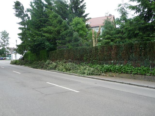 der fußweg der kinder zum bus und schule!!! wann der wieder frei wird???