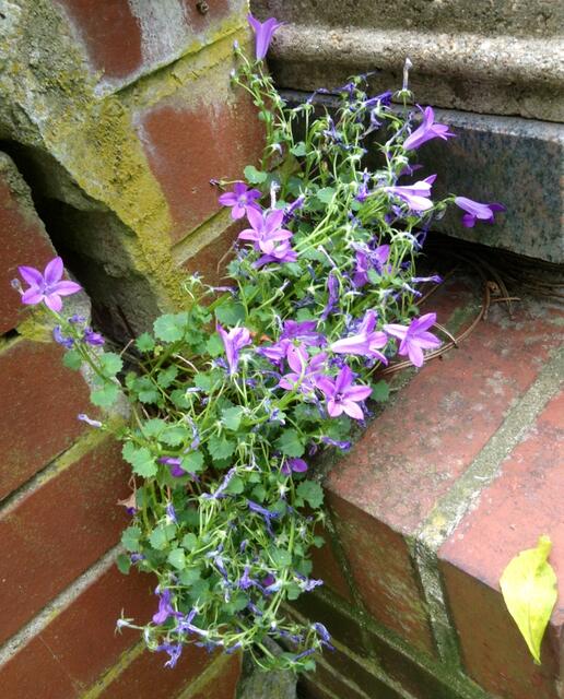 Die hätte ich fast übersehen...