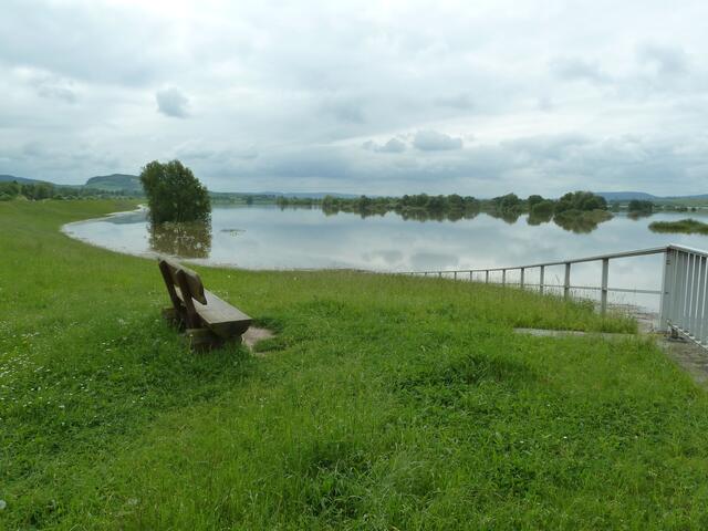 Einen perfekten und idyllischen Blick auf das Hochwasser hatte hier Elfie aus Einbeck. | Foto: Elfie Haupt