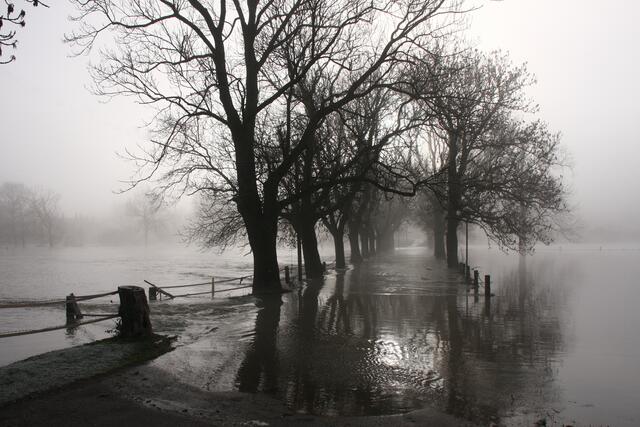 Diese Momentaufnahme des Hochwassers erinnert an die gespenstische Szene einer alten Geschichte aus England. Schaurig-schön mit dem Nebel, nicht wahr? | Foto: Uwe Dorloff aus Bad Kösen