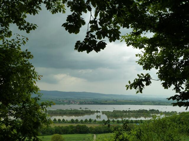 Was zeigt der Horizont? Nur Wasser. | Foto: Elfie Haupt
