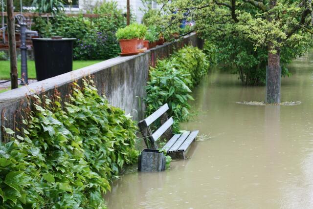 Im Sommer sieht man oft verliebte Paare auf Parkbänken. Doch diese hier dürfe vorerst einsam und alleine bleiben. Einzige Gesellschaft: Das Wasser. Und Ali Kocaman, der dieses Bild geschossen hat. | Foto: Ali Kocaman