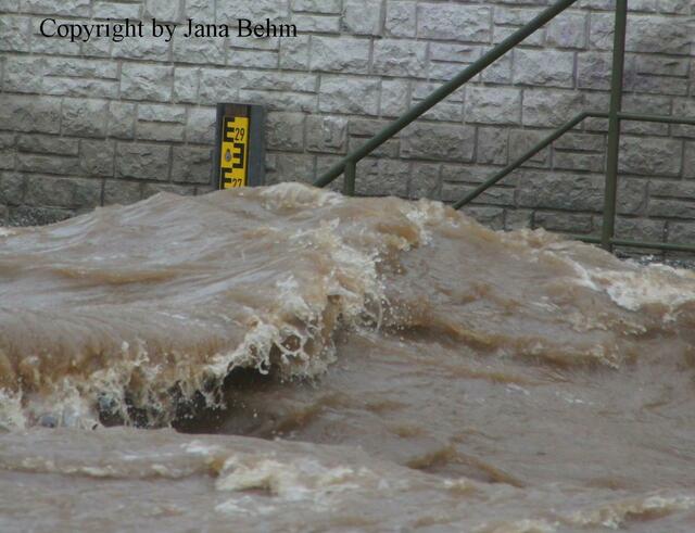 Die tosende Gewalt des Hochwassers tauchte vor Janas Linse in Lößnitz auf, als die Mulde anstieg. | Foto: Jana Behm