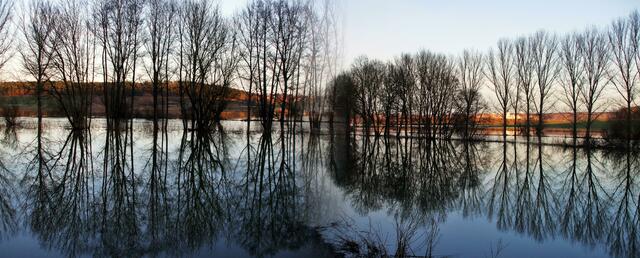 Idyllische Ruhe verströmt dieses Bild. Von all dem Chaos, dass das Hochwasser an anderen Orten ausgelöst hat, erinnert hier nichts daran. | Foto: M. Wittenberg aus Nebra