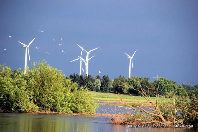 Ganz ruhig fügt sich das Hochwasser hier in das Bild von Birgit Behle. Ein Motiv, das geradewegs von einer Postkarte stammen könnte! | Foto: Birgit Behle