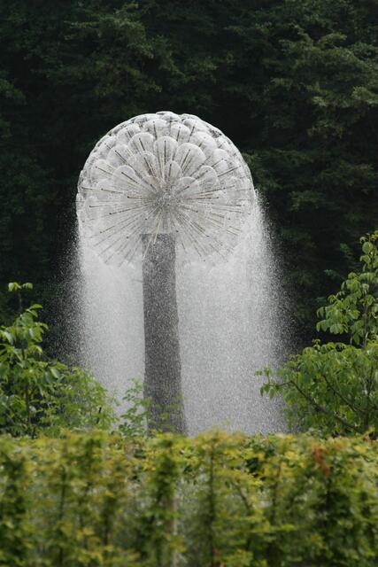 Wasserbaum