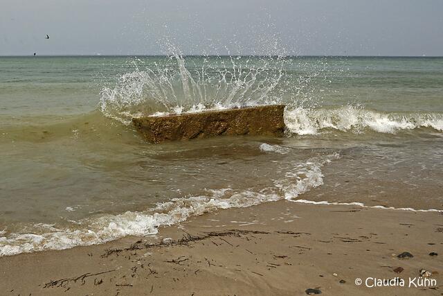 Mit Strand und Wellenbrecher im Hintergrund links sieht man ganz ganz Mini zwei Seeschalben