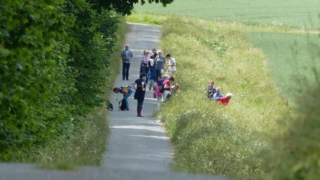 Wo ist denn die Kugel? | Foto: Foto: Klaus Tempus