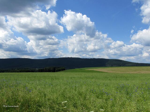 Das Oberbecken des PSW Markersbach.