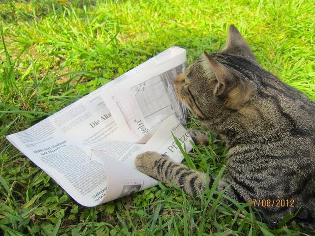 Sooo, dann lesen wir doch mal den Aktienteil und gucken nach, wie es um die Mäuse steht. | Foto: Kirsten S. aus Pattensen