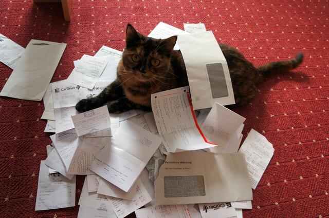 Hallo Sandra! Ich hab dir mal mit dem Papierberg geholfen ... naja, ich habe es versucht. | Foto: Sandra Fräßdorf aus Lehrte