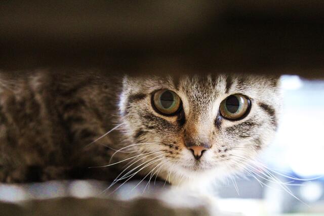Na, Carmen, wer hat hier wen entdeckt? | Foto: Celine Br aus Edertal
