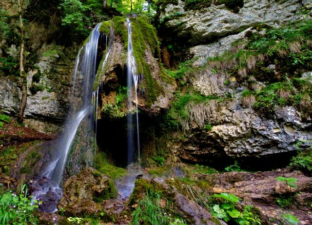 Ständig fließendes Wasser sorgt für bemooste Steine